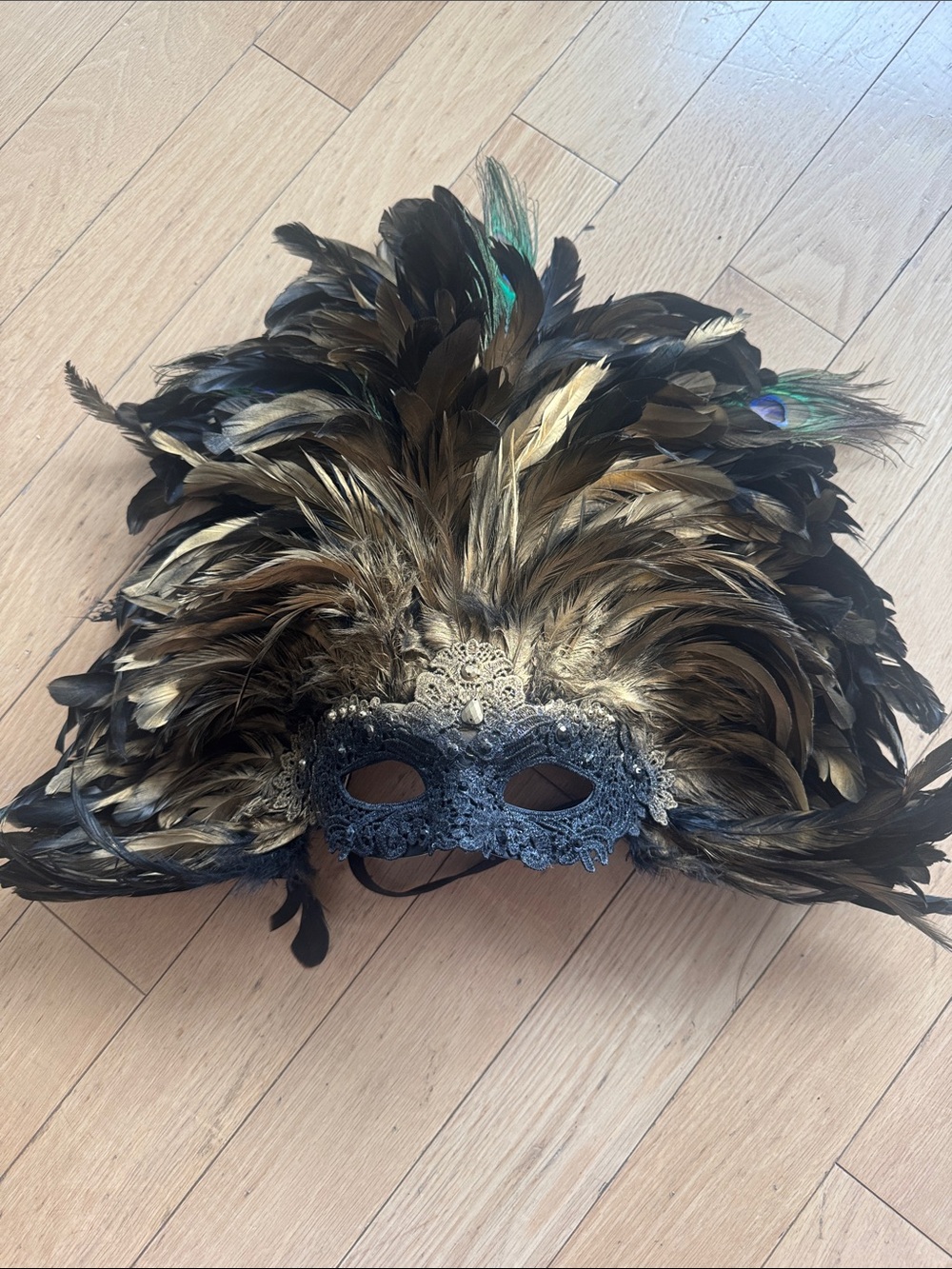 Feathered Black and Gold Masquerade Mask